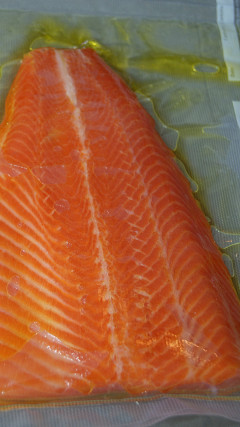 Ocean Trout 3